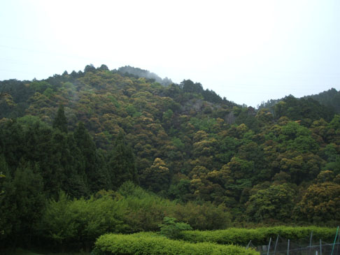 筆を投げ捨てたという筆捨山